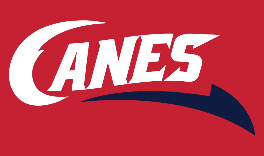 Lethbridge Hurricanes 2013-Pres Secondary Logo iron on heat transfer